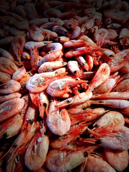Морепродукты со скидкой 30%